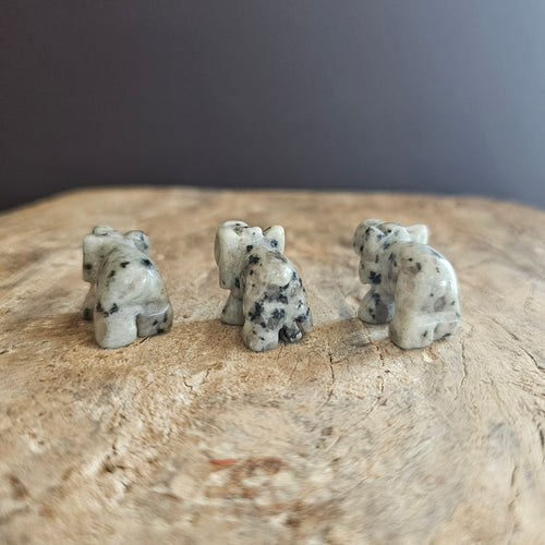 Kiwi Jasper | Mini Elephants