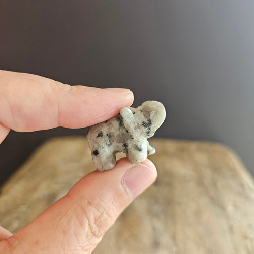 Kiwi Jasper | Mini Elephants