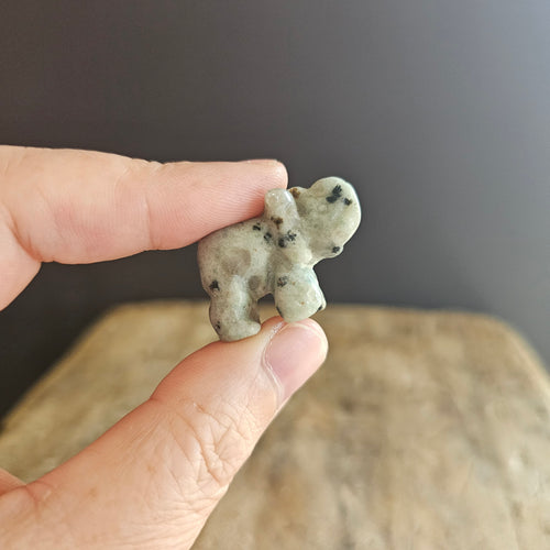 Kiwi Jasper | Mini Elephants