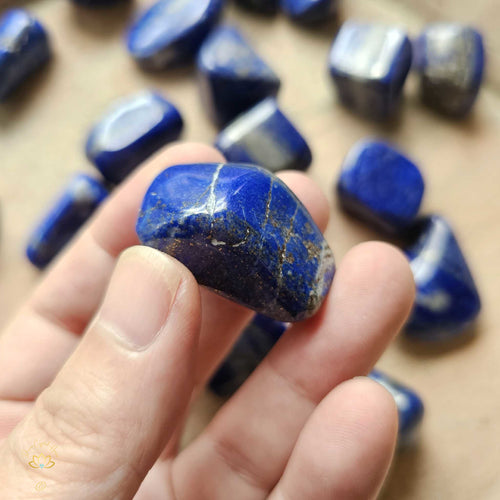 Lapis Lazuli Tumbled Stones