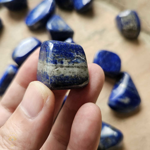Lapis Lazuli Tumbled Stones