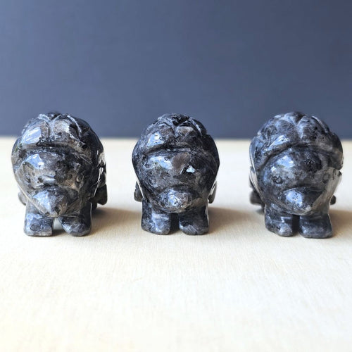 Larvikite Hedgehogs | Silverback Guardian