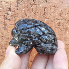 Larvikite Hedgehogs | Silverback Guardian