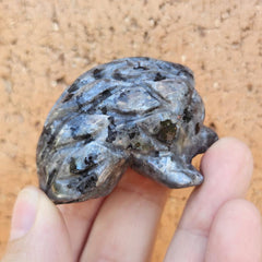 Larvikite Hedgehogs | Silverback Guardian