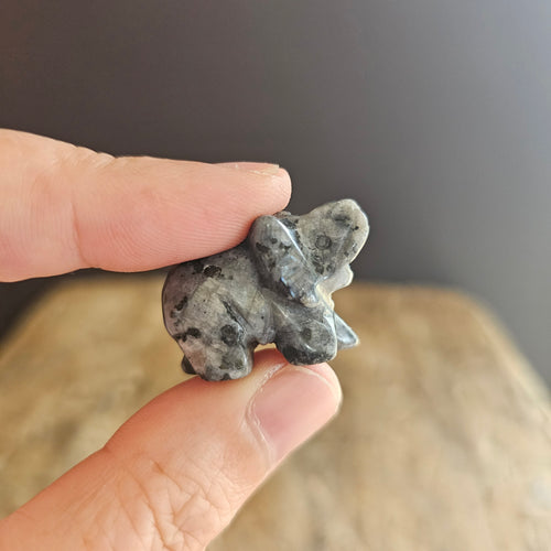 Larvikite | Mini Elephants