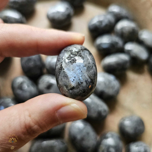 Larvikite Tumbled Stones