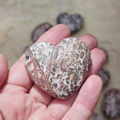 Leopard Skin Jasper Hearts | Wild At Heart