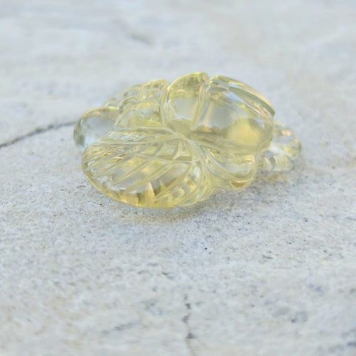 Libyan Desert Glass Scarab | Desert Rebirth