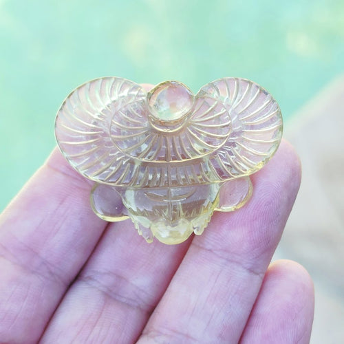 Libyan Desert Glass Scarab | Golden Scarab