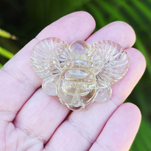 Libyan Desert Glass Scarab | Golden Scarab