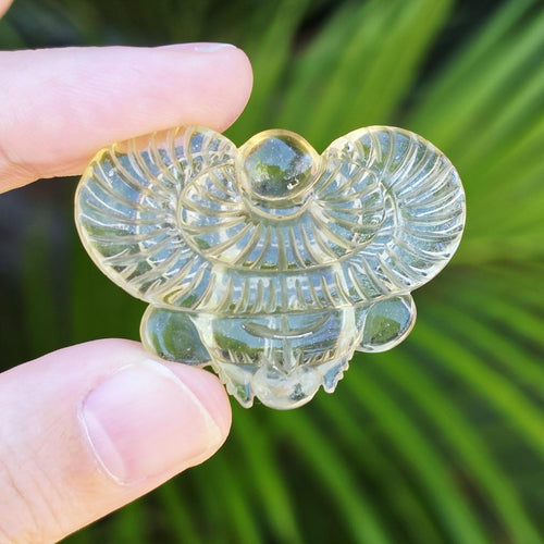 Libyan Desert Glass Scarab | Golden Scarab