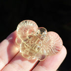 Libyan Desert Glass Scarab | Golden Scarab