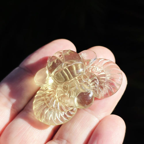 Libyan Desert Glass Scarab | Golden Scarab