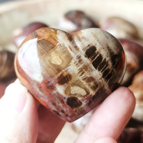 Medium Petrified Wood Hearts | Ancient Memory