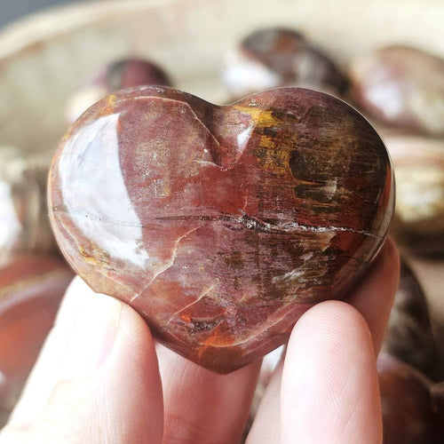 Medium Petrified Wood Hearts | Ancient Memory