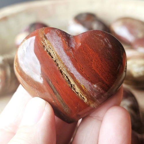 Medium Petrified Wood Hearts | Ancient Memory