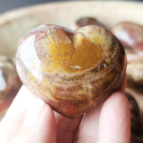 Medium Petrified Wood Hearts | Ancient Memory