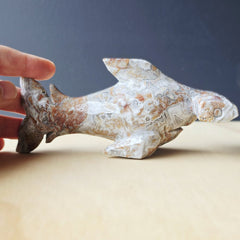 Mexican Crazy Lace Agate Hammerhead Shark