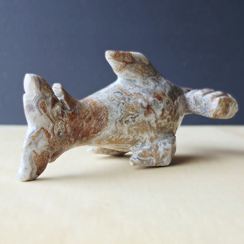 Mexican Crazy Lace Agate Hammerhead Shark