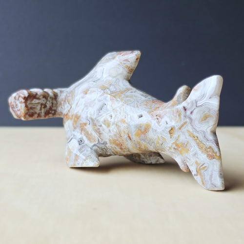 Mexican Crazy Lace Agate Hammerhead Shark