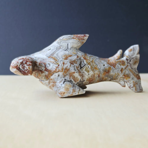Mexican Crazy Lace Agate Hammerhead Shark