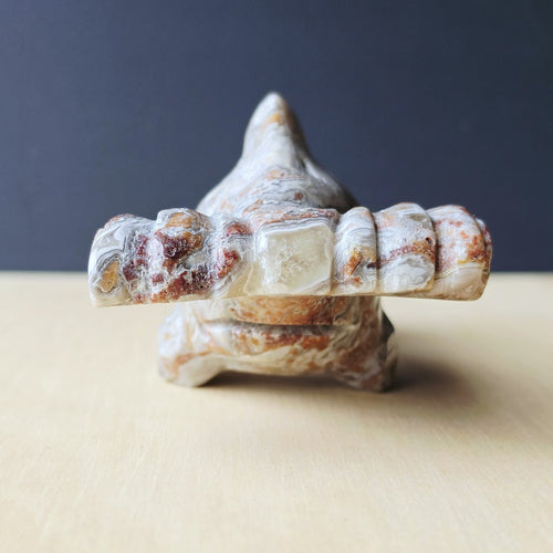 Mexican Crazy Lace Agate Hammerhead Shark