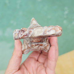 Mexican Crazy Lace Agate Hammerhead Shark
