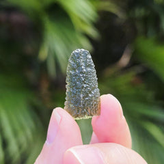 Moldavite Specimen | Emerald Ascension