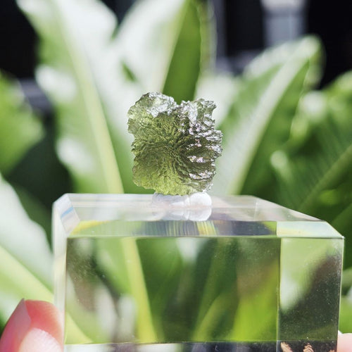 Moldavite | Temple Of The Green Flame