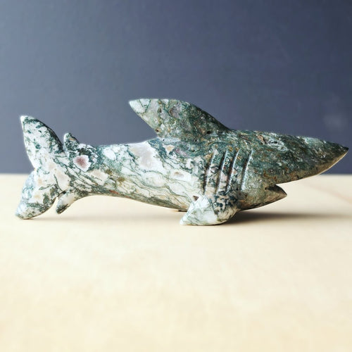 Moss Agate Shark