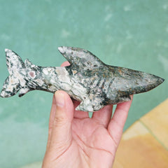 Moss Agate Shark