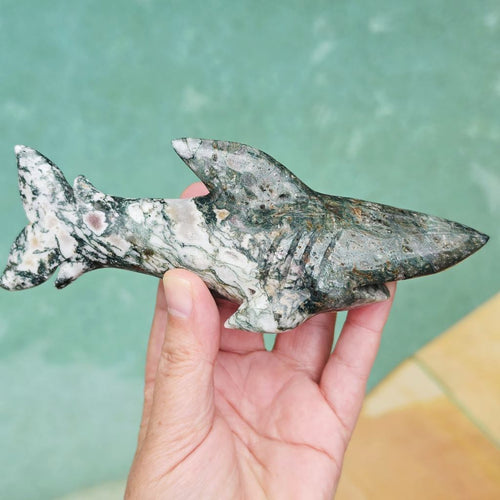Moss Agate Shark