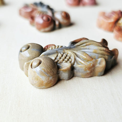 Natural Alashan Stone Goldfish | Alashan Prosperity Keepers