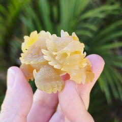 Natural Carnelian Dragon Turtle | Hand Carved Longgui