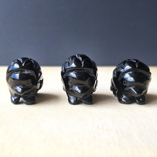 Obsidian Hedgehogs | Shadow Guardian