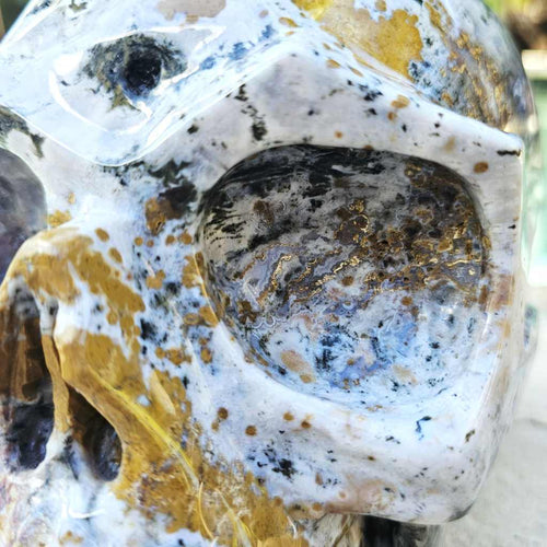 Ocean Jasper Extra Large Skull | The Archivist