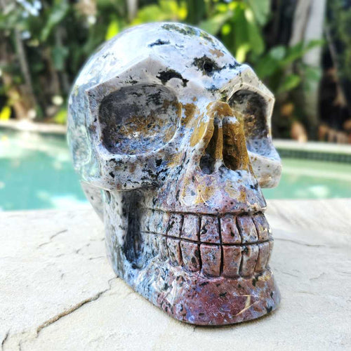 Ocean Jasper Extra Large Skull | The Archivist