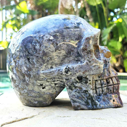 Ocean Jasper Extra Large Skull | The Archivist