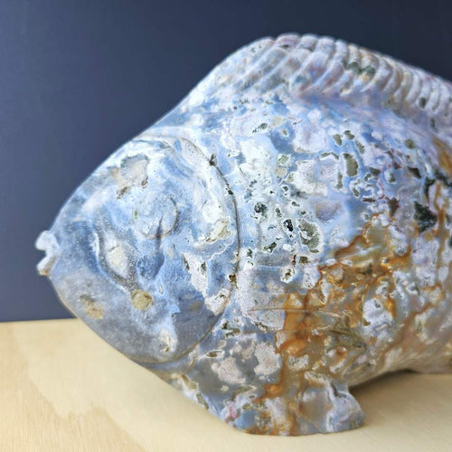 Ocean Jasper Fish | Jasper Tidekeeper