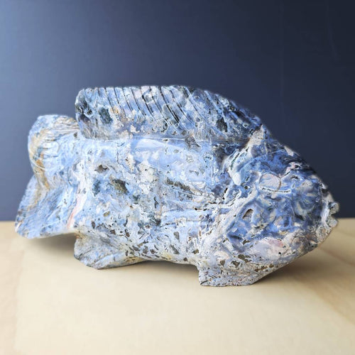 Ocean Jasper Fish | The Deepcurrent Guide