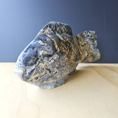 Ocean Jasper Fish | The Deepcurrent Guide