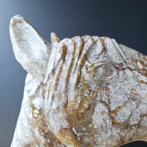 Ocean Jasper Horse | Earthbound Spirit