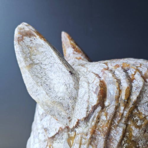 Ocean Jasper Horse | Earthbound Spirit