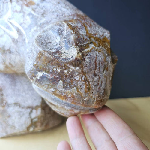 Ocean Jasper Horse | Earthbound Spirit