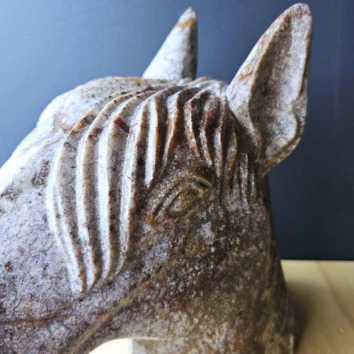 Ocean Jasper Horse | Earthbound Spirit