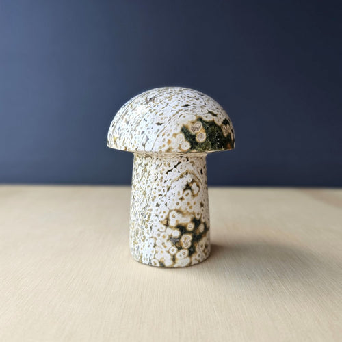 Ocean Jasper | Mushroom 257gms