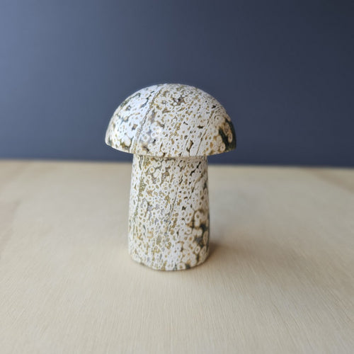 Ocean Jasper | Mushroom 257gms