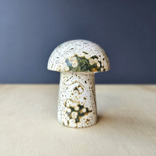 Ocean Jasper | Mushroom 257gms