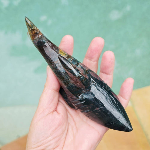 Ocean Jasper Shark 356gms