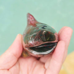 Ocean Jasper Shark 367gms